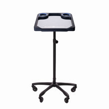 Carica l'immagine nel visualizzatore di Gallery, Braids & Freckles • Magnetic Colorist Small Tray • Black