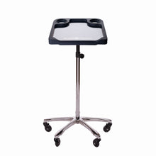 Carica l'immagine nel visualizzatore di Gallery, Braids & Freckles • Magnetic Colorist Small Tray • Chrome