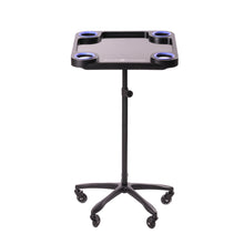 Carica l'immagine nel visualizzatore di Gallery, Braids & Freckles • Magnetic Colorist Tray • Black