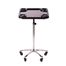 Carica l'immagine nel visualizzatore di Gallery, Braids & Freckles • Magnetic Colorist Tray • Chrome